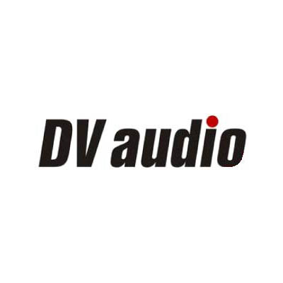 DV audio