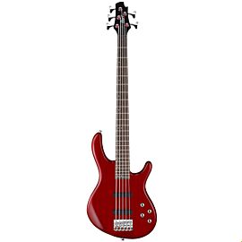 CORT Action V Plus (Trans Red)