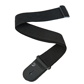 Planet Waves PWS100