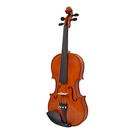 Strunal Stradivarius 29wA
