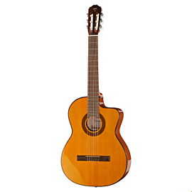 TAKAMINE GC1CE NAT