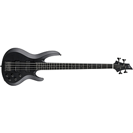 ESP BTL STD4