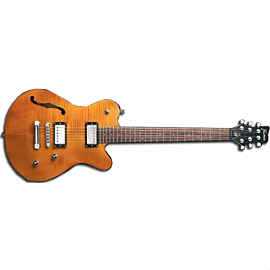 Framus PantheraClassicPro N