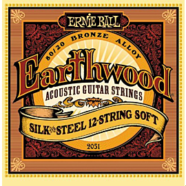 ERNIE BALL P02051