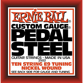 ERNIE BALL P02502