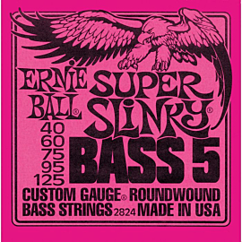 ERNIE BALL P02824