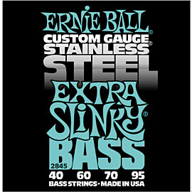 ERNIE BALL P02845