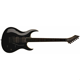 Washburn WM24V PRO