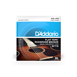 D'ADDARIO EFT16 FLAT TOPS PHOSPHOR BRONZE LIGHT (12-53)