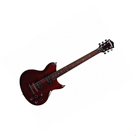 Washburn WI200PRO ECK