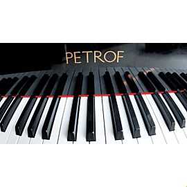 Petrof MX Acoustic