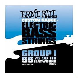 ERNIE BALL P02802