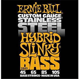 ERNIE BALL P02843