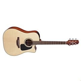 TAKAMINE P2DC