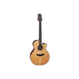 TAKAMINE GN20CE NS