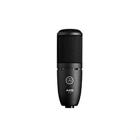 AKG Perception P120