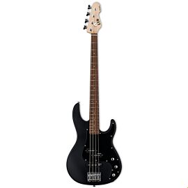 LTD AP-204 (BLACK SATIN)