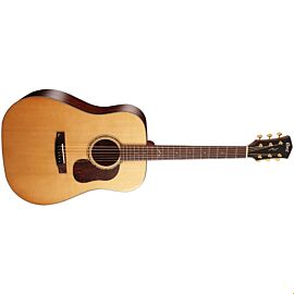 CORT GOLD D6 (Natural)