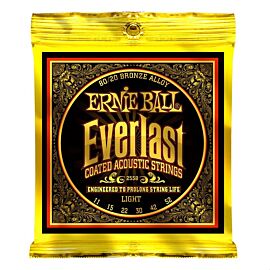 ERNIE BALL P02558