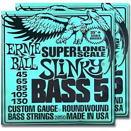 ERNIE BALL P02850