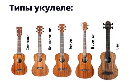 Как научится играть на укулеле - основы выбора инструмента и советы новичкам. Soundmaster фото 2