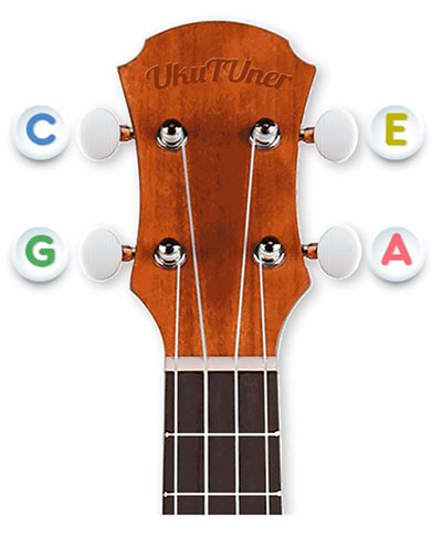 Как научится играть на укулеле - основы выбора инструмента и советы новичкам. Soundmaster фото 4